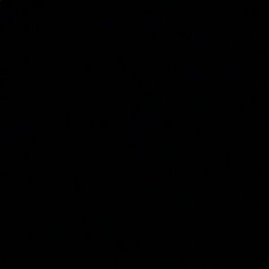 Meet your Posher, Malik